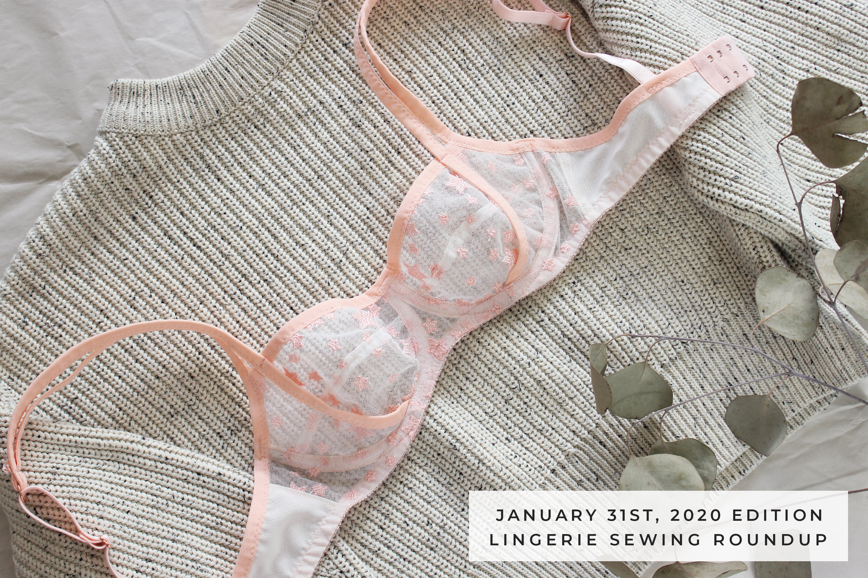 January 31st, 2020 Edition // Lingerie Sewing Roundup – Tailor Made Blog